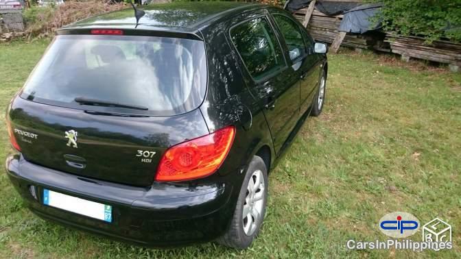 Picture of Peugeot 307 Manual 2006