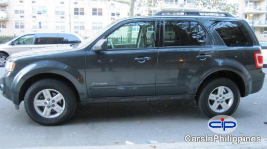 Picture of Ford Escape Automatic 2009 in Oriental Mindoro